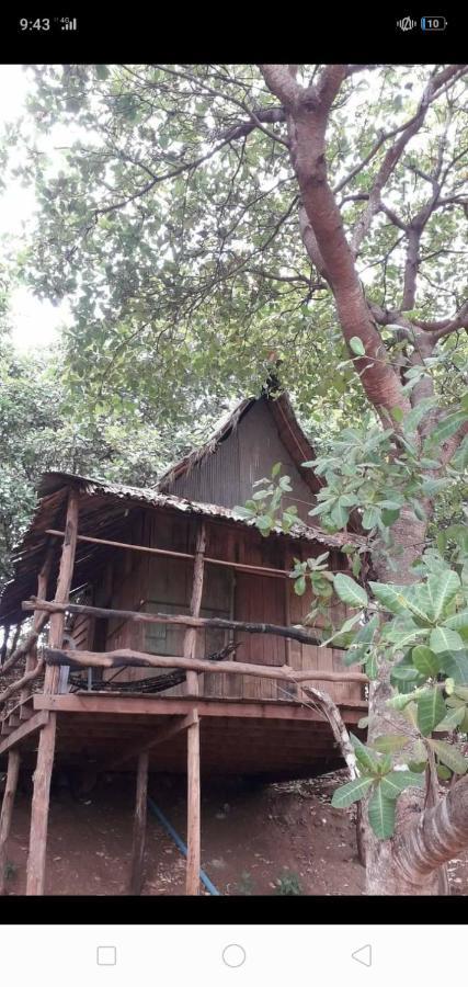 Tree Lodge Banlung Kültér fotó