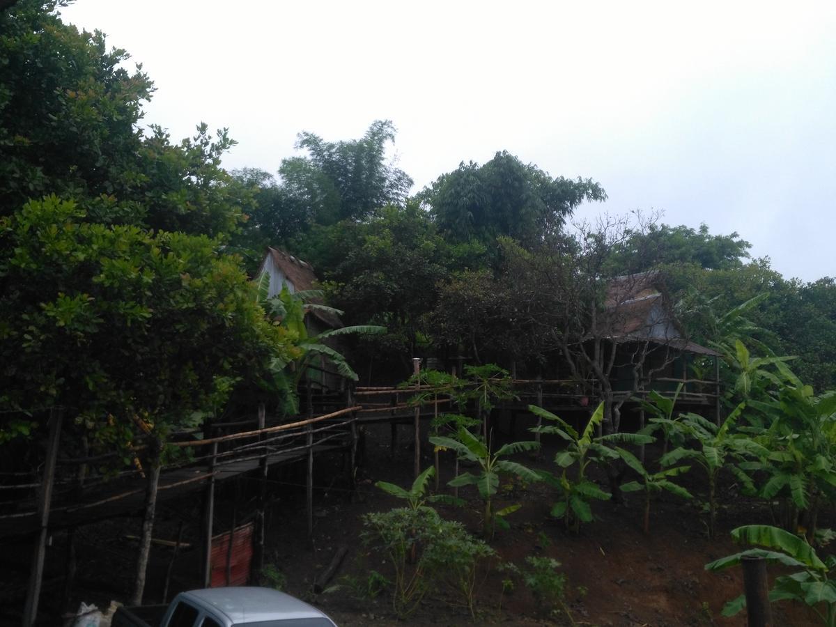 Tree Lodge Banlung Kültér fotó