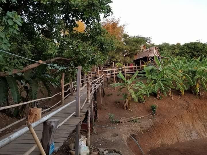 Tree Lodge Banlung Kültér fotó