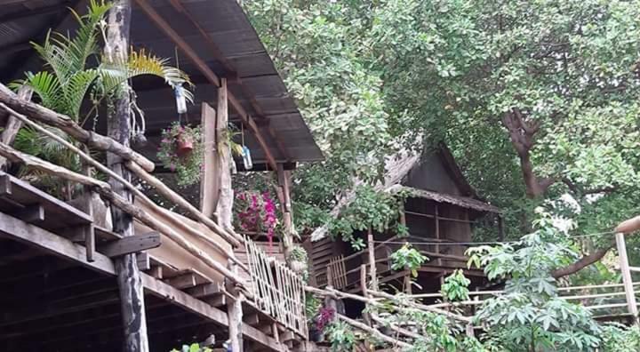 Tree Lodge Banlung Kültér fotó